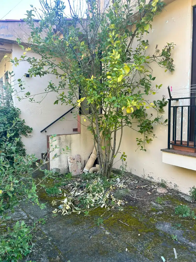 Exterior view of Houses for sale in Girona  with Heating, Private garden and Terrace