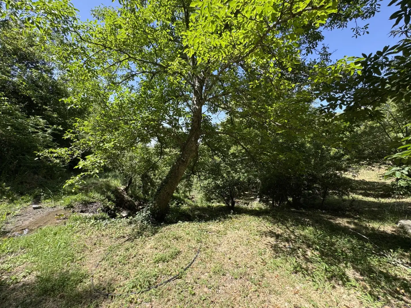 Finca rústica en venta en El Arenal  con Jardín privado