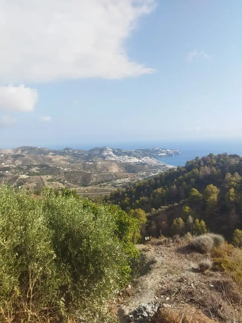 Vista exterior de Finca rústica en venda en Almuñécar amb Jardí privat, Terrassa i Piscina