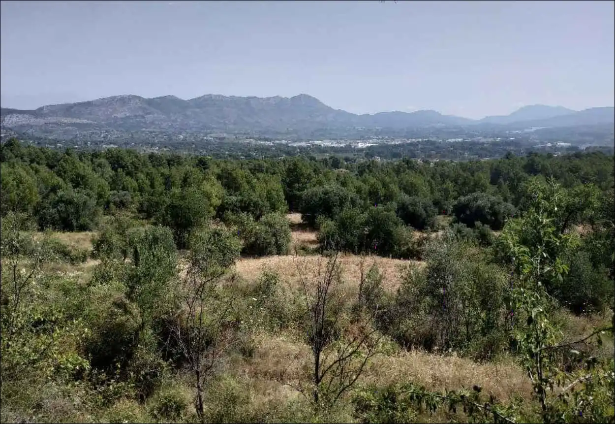 Terrain rustique à vendre à POLIGONO 3, imagen 9