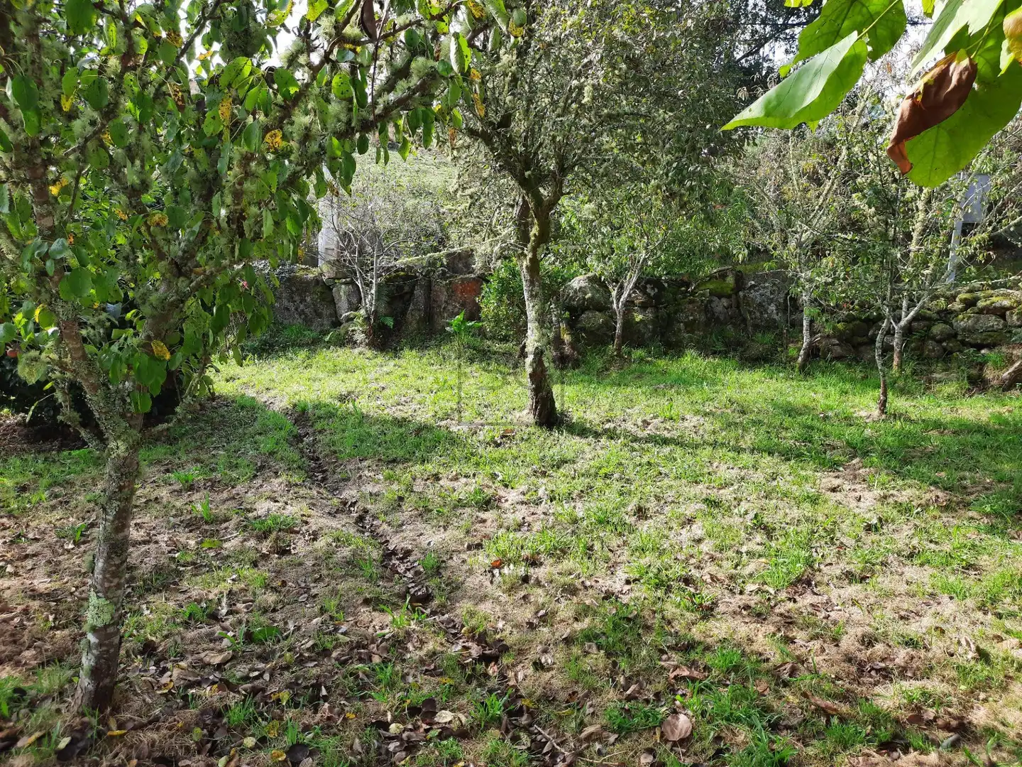 Finca rústica en venda en As Pontes de García Rodríguez  amb Jardí privat