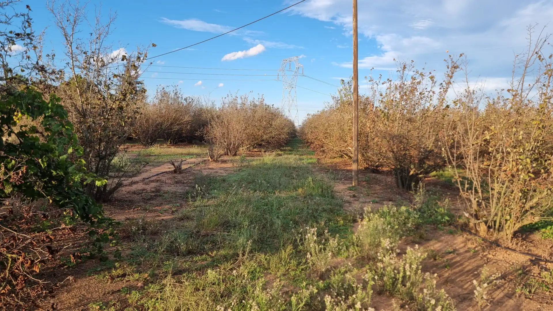 Terreno en venta en Vilallonga del Camp