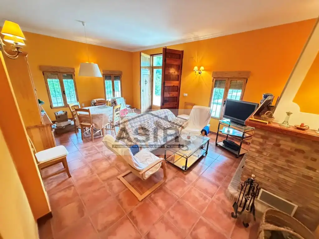 Living room of Houses for rent in Alzira  with Terrace and Swimming Pool