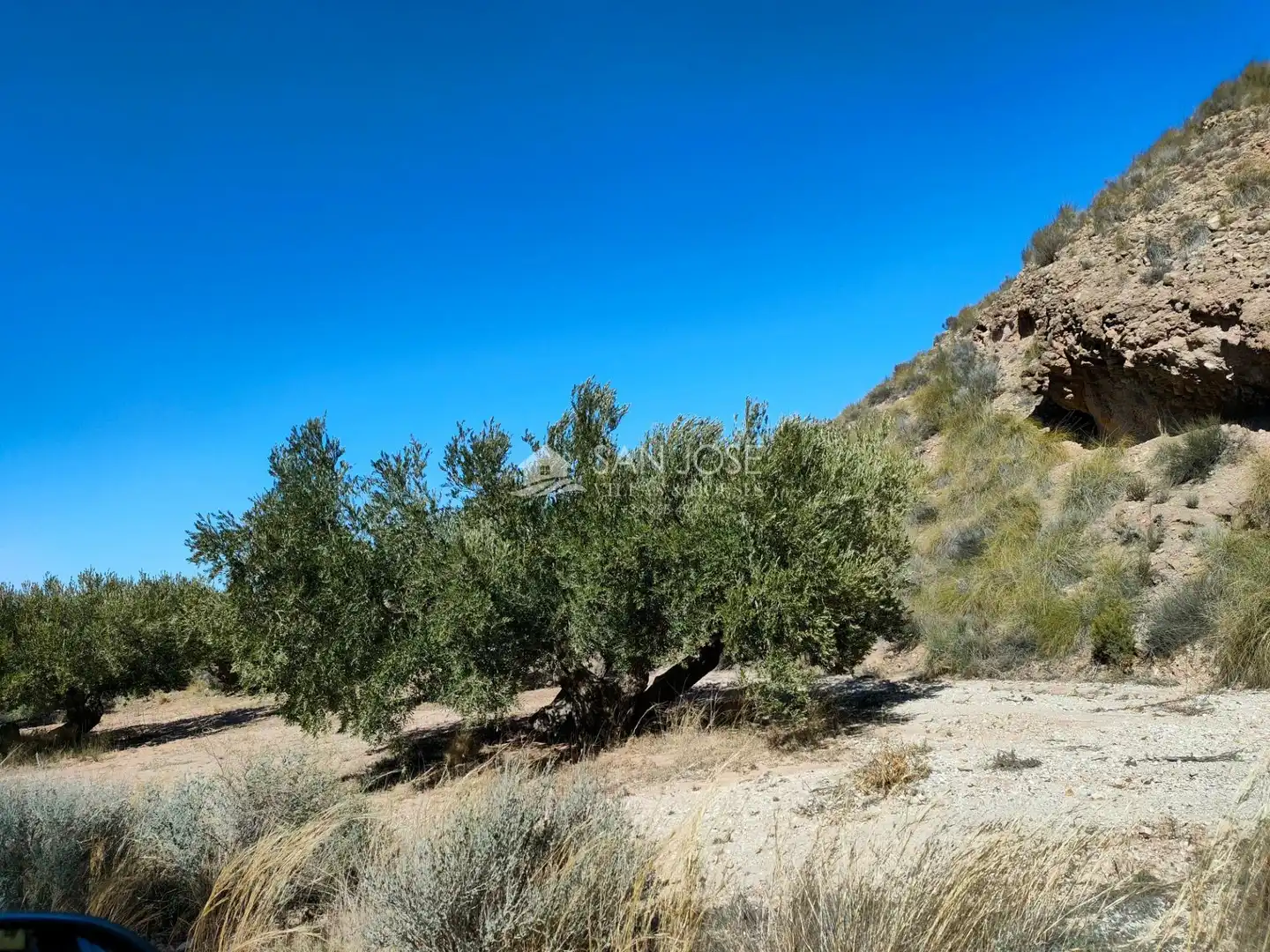 Lands and plots for sale in Abanilla, imagen 17