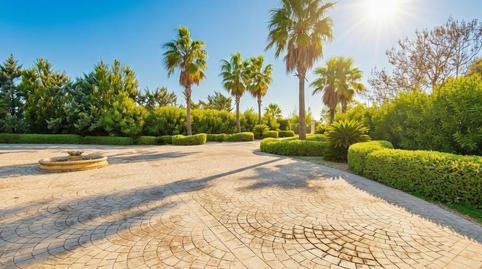 Foto 3 de Casa o chalet de alquiler en Binissalem, Illes Balears