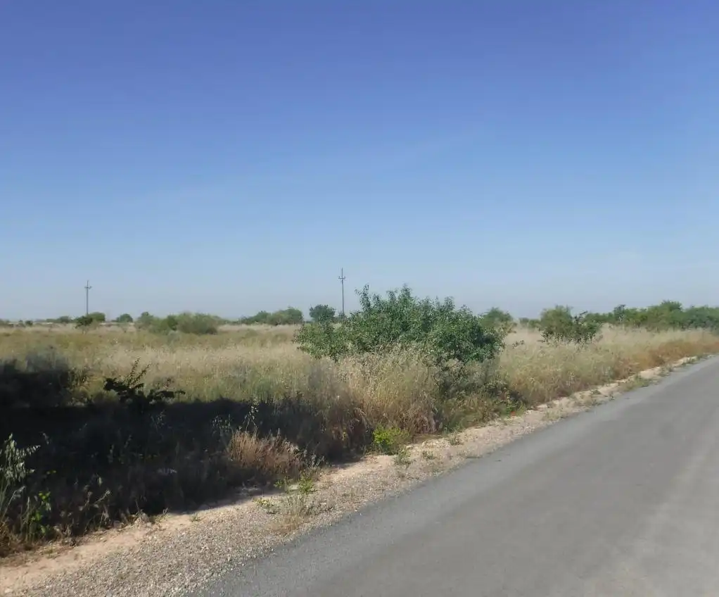 Rural land for sale in PLUTO, imagen 4