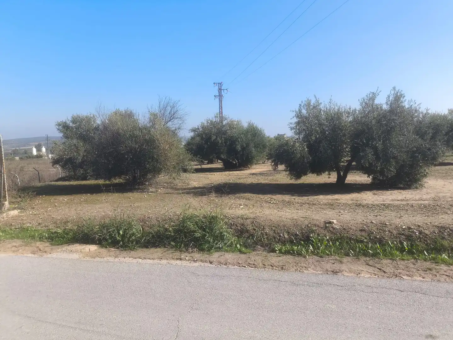 Terreni e lotti in vendita a Mengíbar, imagen 2