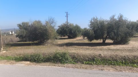 Se vende gran solar junto al municipio de Mengibar, immagine 2