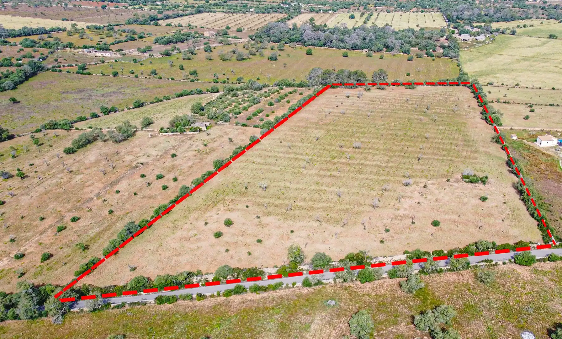 Terreno rustico in vendita a Llucmajor pueblo, imagen 8