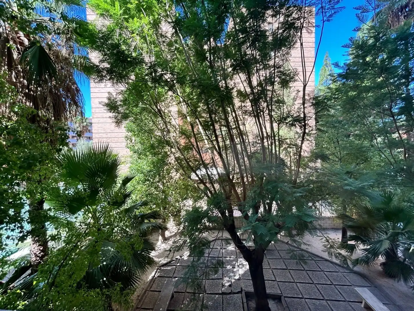 Jardín de Piso en venta en Murcia con Aire acondicionado, Calefacción y Terraza