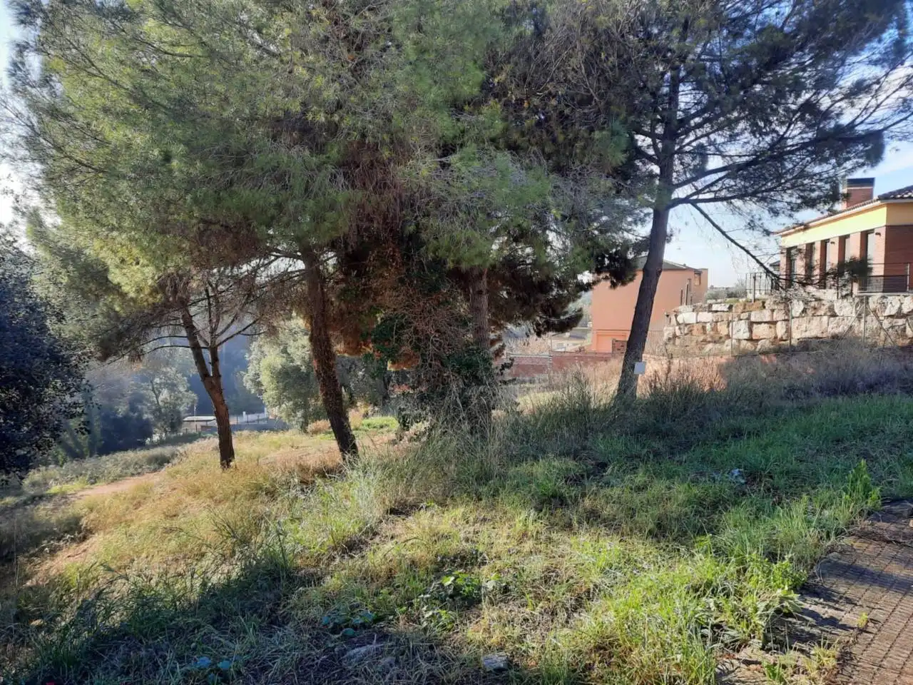 Terreny rústic en venda a Calle COMAPEDROSA, imagen 7