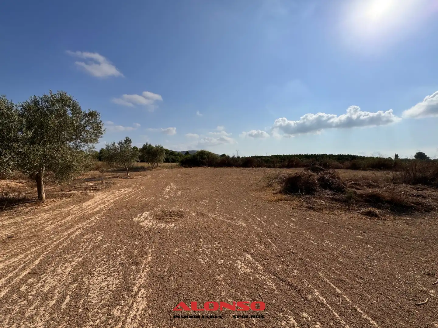 Rural land for sale in Pueblo, imagen 15