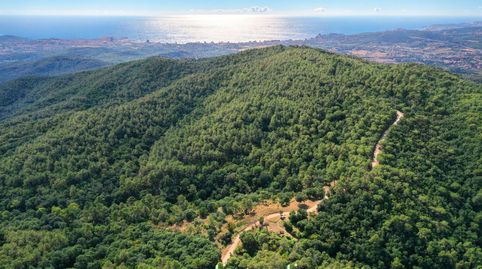 Foto 4 de Finca rústica en venda a N/a, -1, Mas Pere - Río de Oro, Calonge i Sant Antoni