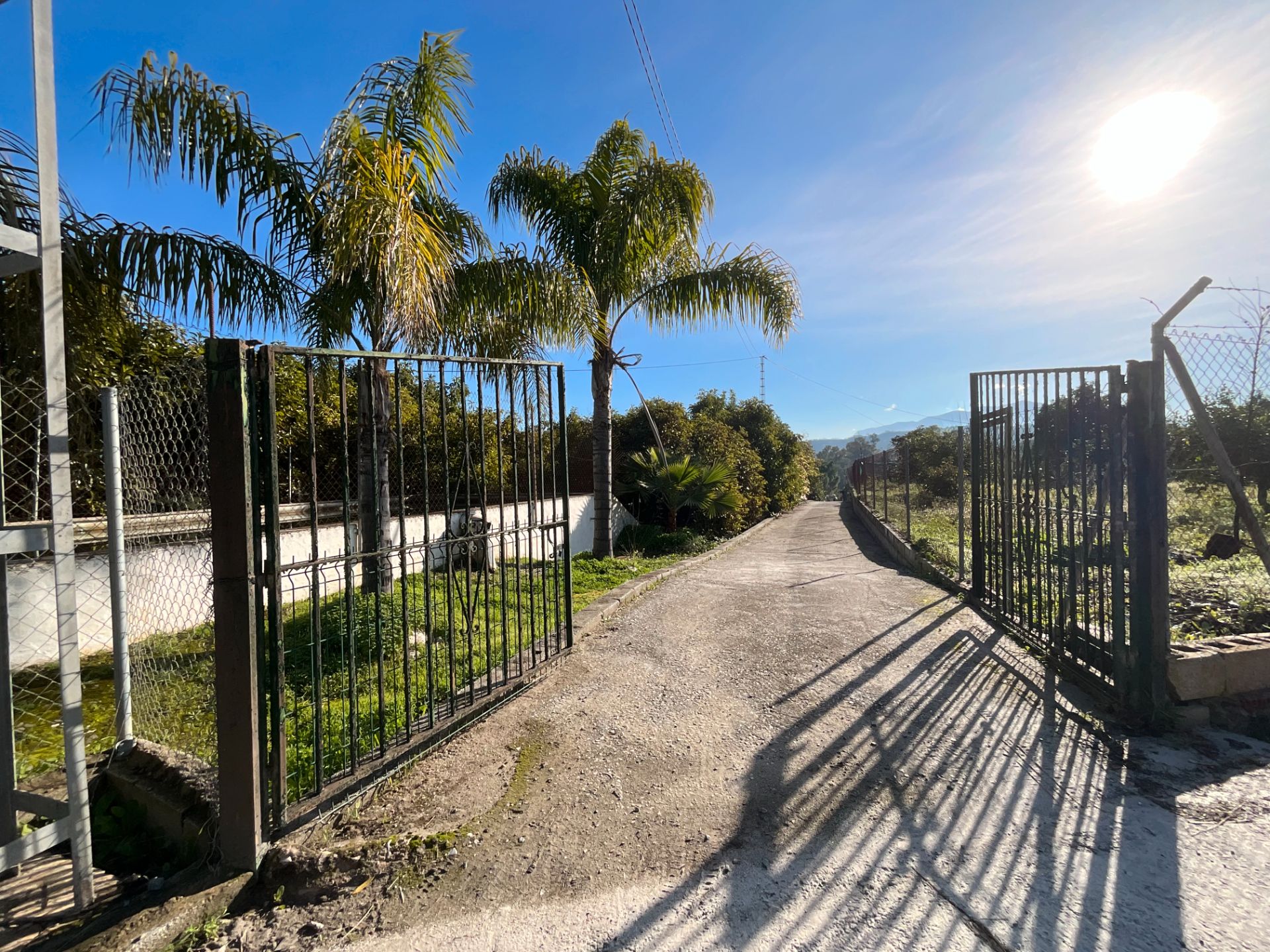 Finca rústica en venda a Lugar Partido Pereila Baja