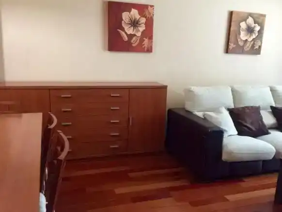 Wohnzimmer von Wohnung zur Miete in Aisa mit Parkett, Abstellraum und Möbliert