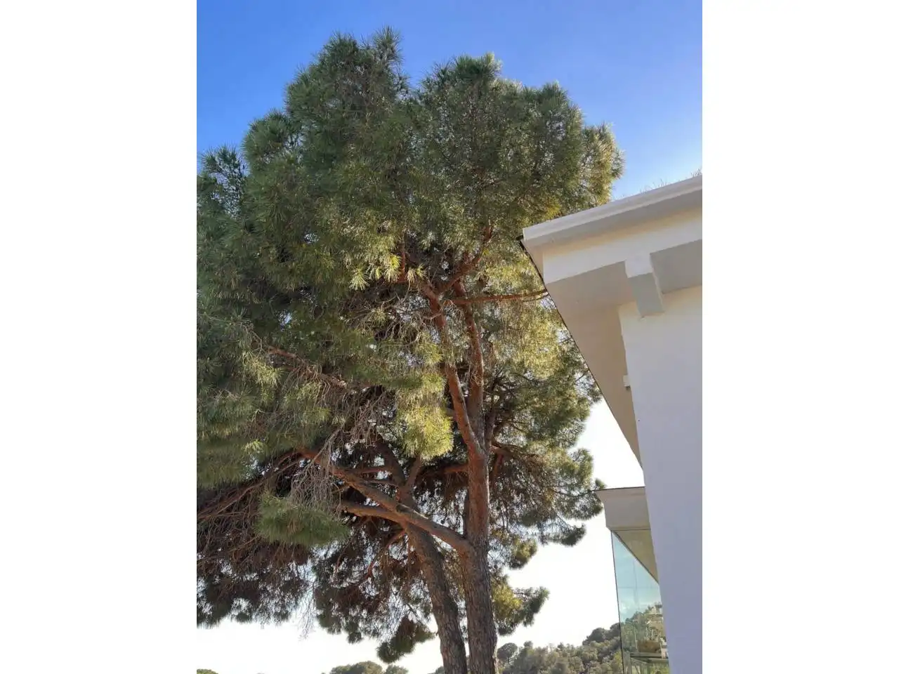 Exterior view of Houses for sale in Lloret de Mar  with Air Conditioner, Heating and Private garden