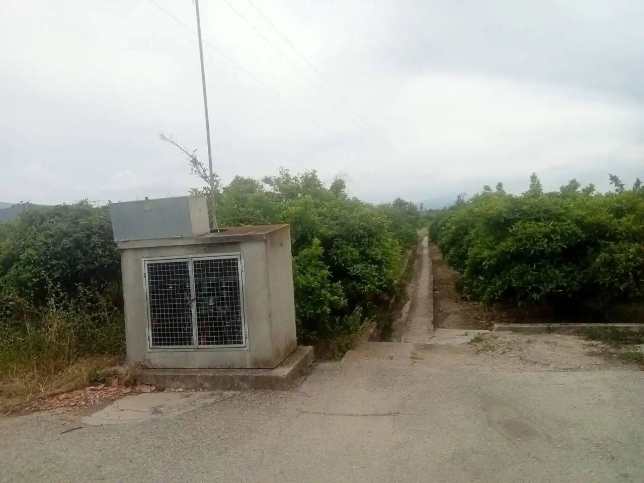 Terreno rustico in vendita a Camino Paloma, imagen 4