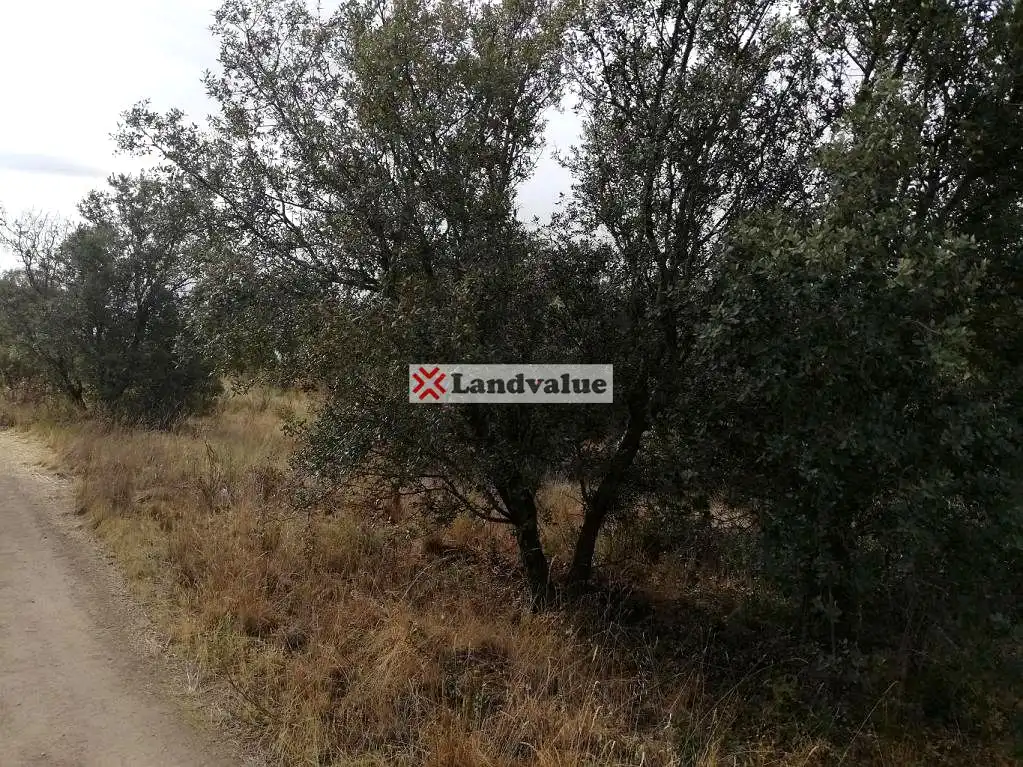 Terreni e lotti in vendita a Albacete, imagen 10