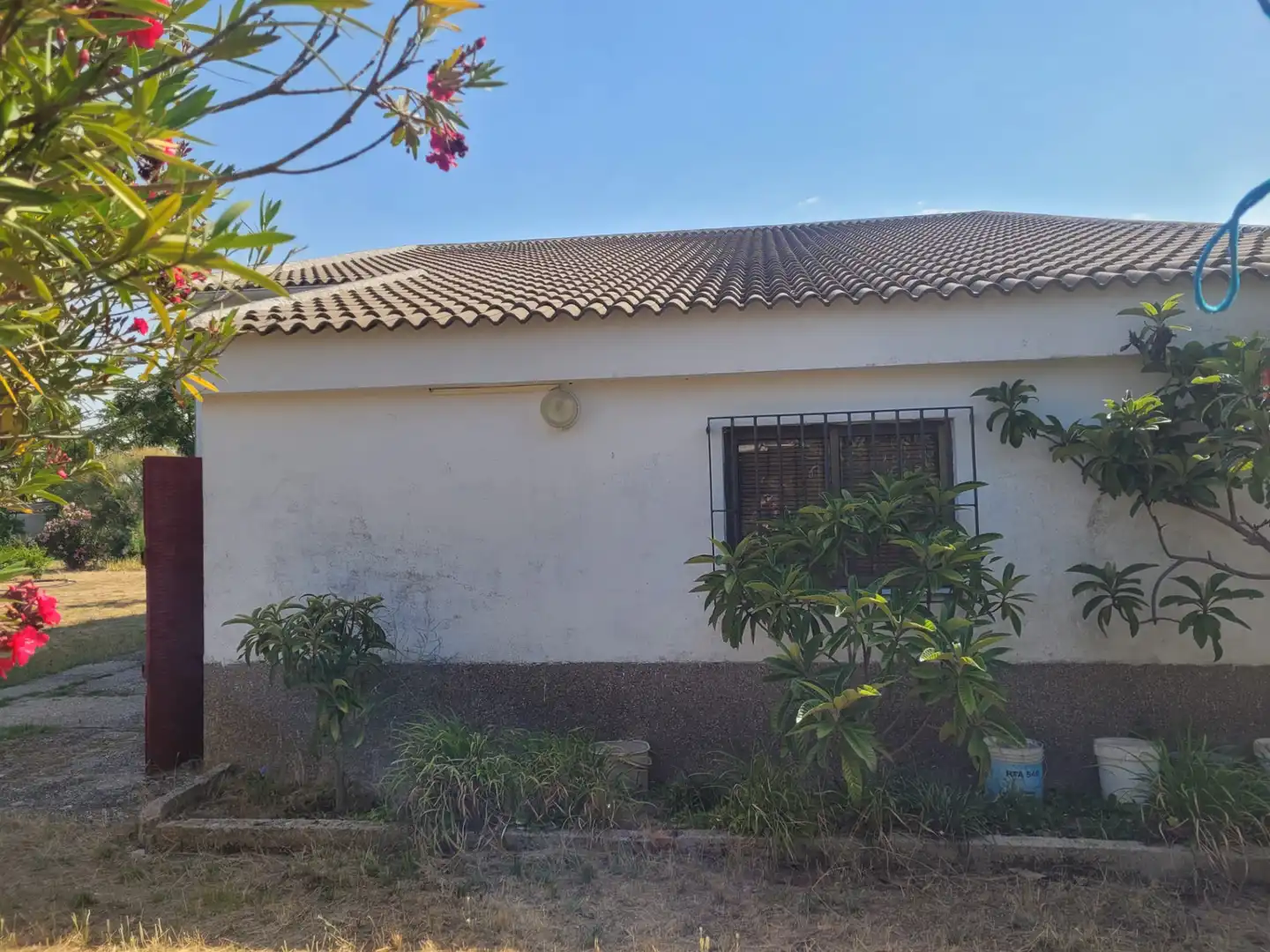 Vista exterior de Casa o chalet en venta en Matapozuelos con Calefacción y Jardín privado