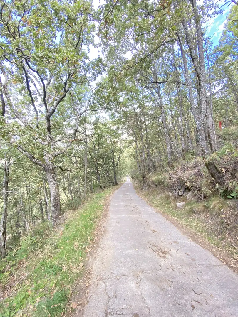 Terreno en venta en Tornavacas