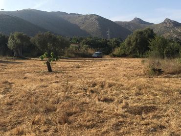 Terreno residenziale in vendita a Capdepera Poble