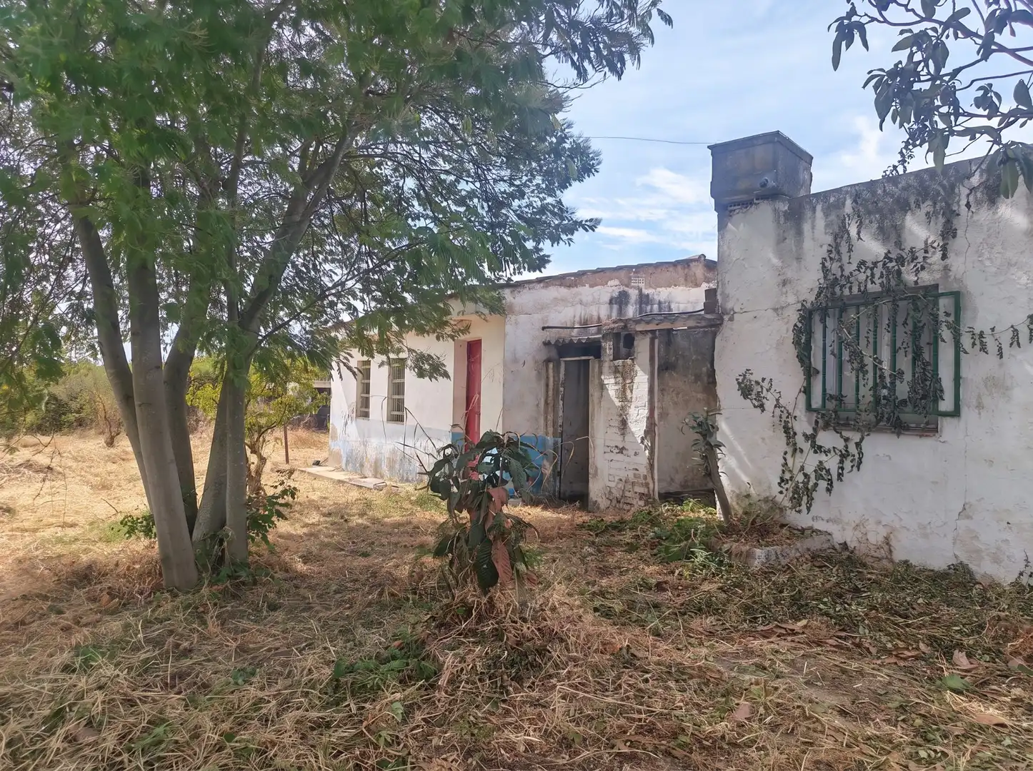 Casa rústica con piscina en venta en Gibraleón, imagen 20
