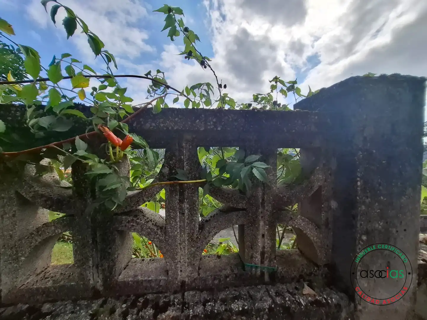Jardín de Casa o chalet en venta en Gijón  con Jardín privado, Terraza y Trastero