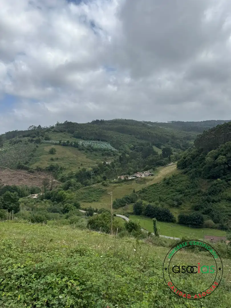 Terreny en venda en Villaviciosa