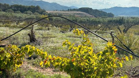 Foto 5 de Terreny en venda a Carrer de Sant Andreu, 7, La Fatarella, Tarragona