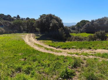 Wohnbaugrundstück zum Verkauf in L'Ametlla del Vallès