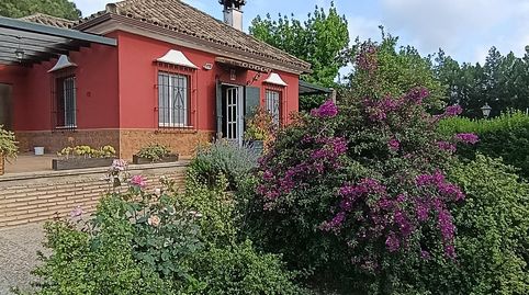 Photo 3 of Houses for sale in La Carlota, Córdoba