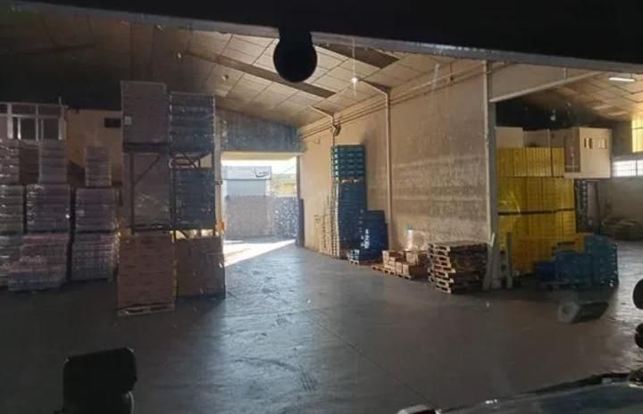 Nau industrial de lloguer en Pinto