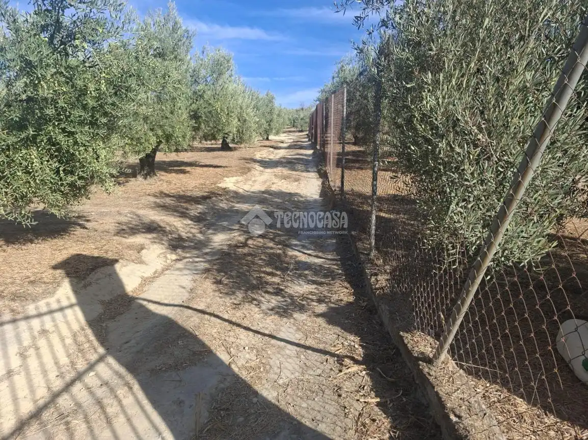 Terreny en venda en Montilla, Córdoba