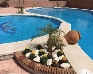 Swimming pool of Apartment for sale in Elche / Elx  with Private garden, Terrace and Balcony