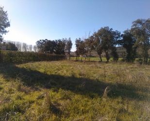 Terreny en venda a Carretera Sta Afra-ginestar, 15, Sant Gregori