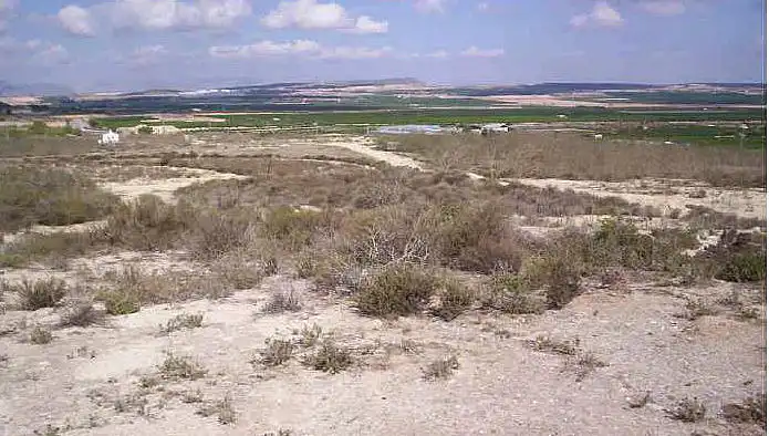Terreny rústic en venda a Paraje Lo Pujol, Hacienda Lo Catalan, Pol 13, parcela 103, imagen 9