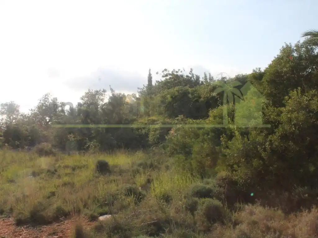 Terreny residencial en venda a Càlig, imagen 4