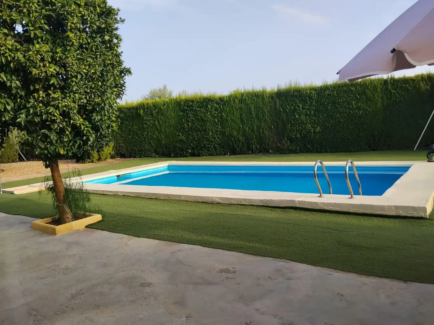 Piscina de Finca rústica en venda en La Carlota amb Piscina