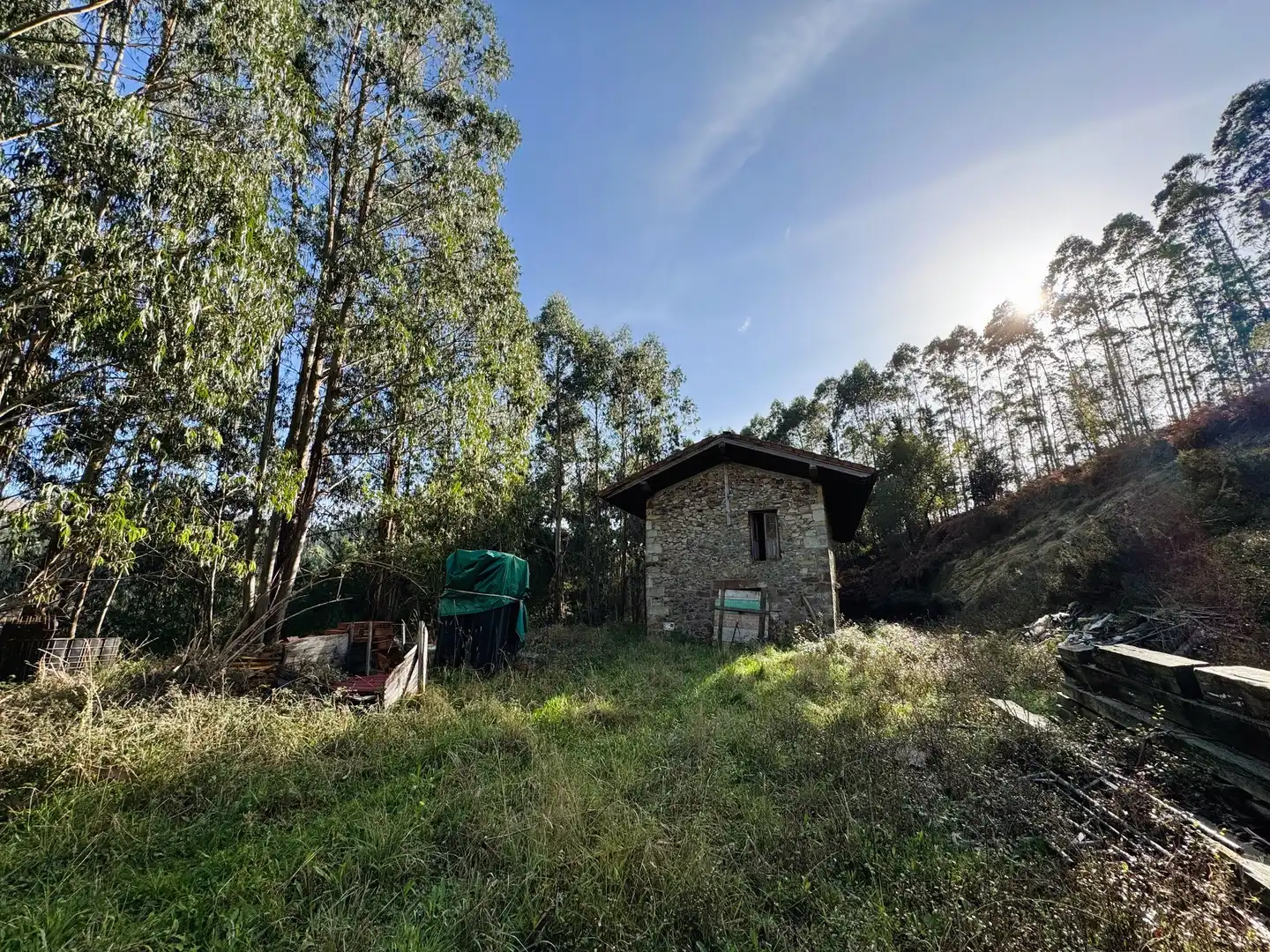 Vista exterior de Finca rústica en venta en Muxika