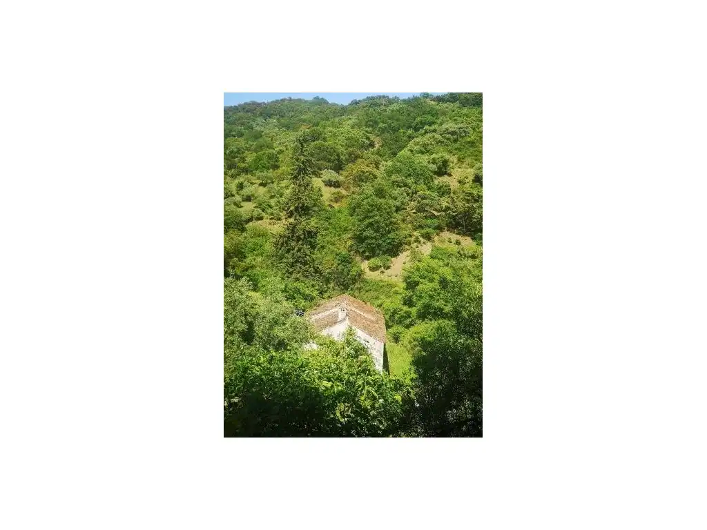 Vista exterior de Finca rústica en venda en Jubrique
