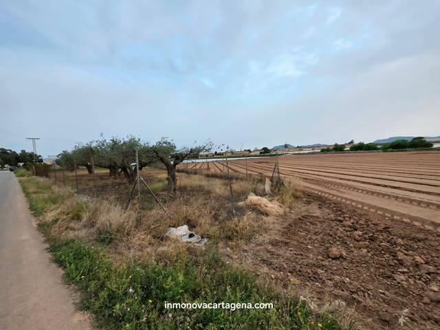 Terreno en Venta en Polígono Santa Ana