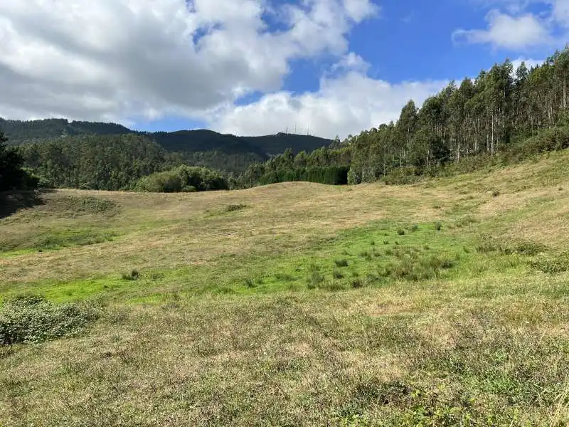 Finca rústica en venda en Llanera