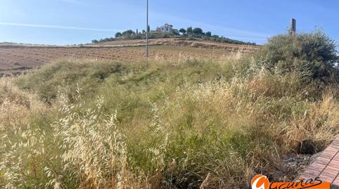 Photo 5 of Residential for sale in Góngora, Alameda, Málaga