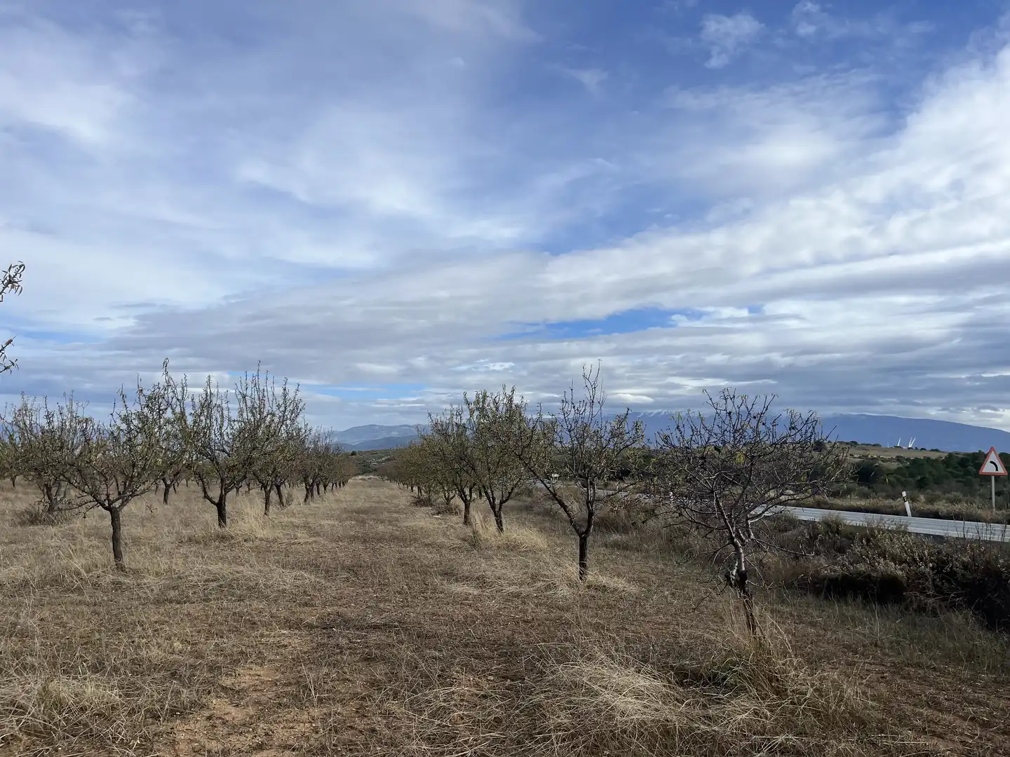 Rustikales Grundstück zum Verkauf in Avenida de Andalucía, imagen 7