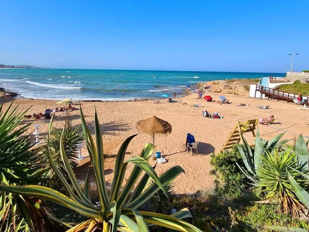 Vista exterior de Casa o xalet en venda en Torrevieja amb Aire condicionat, Jardí privat i Terrassa