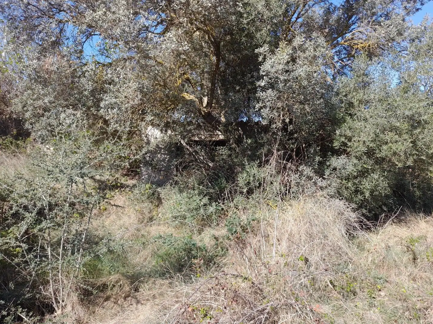 Grundstücke zum Verkauf in Gandesa