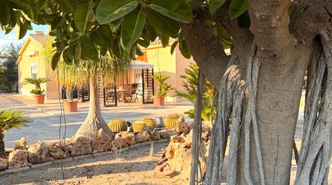 Foto 5 de Casa o xalet en venda a Partida Maitino, 1051, Alzabares, Alicante