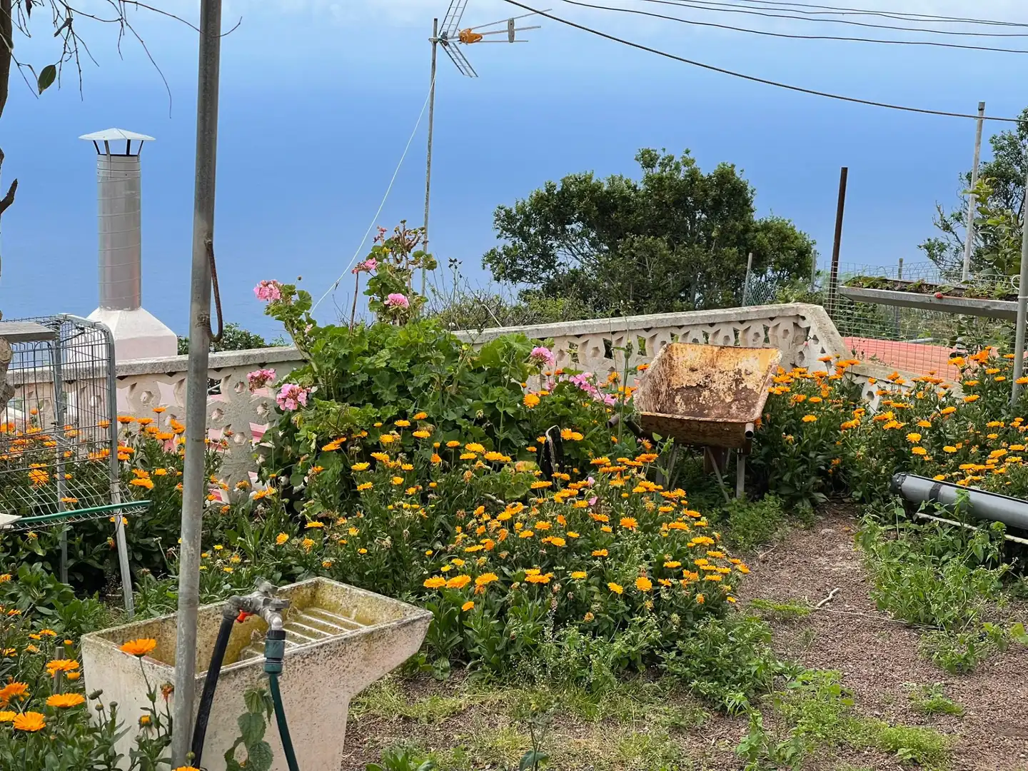 Jardín de Finca rústica en venta en Icod de los Vinos con Jardín privado, Terraza y Trastero