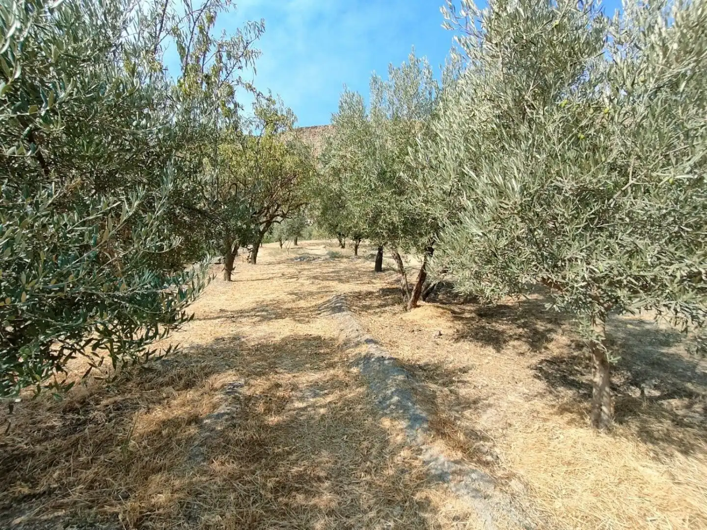 Grundstücke und Bauplätze zum Verkauf in Ugíjar, imagen 10