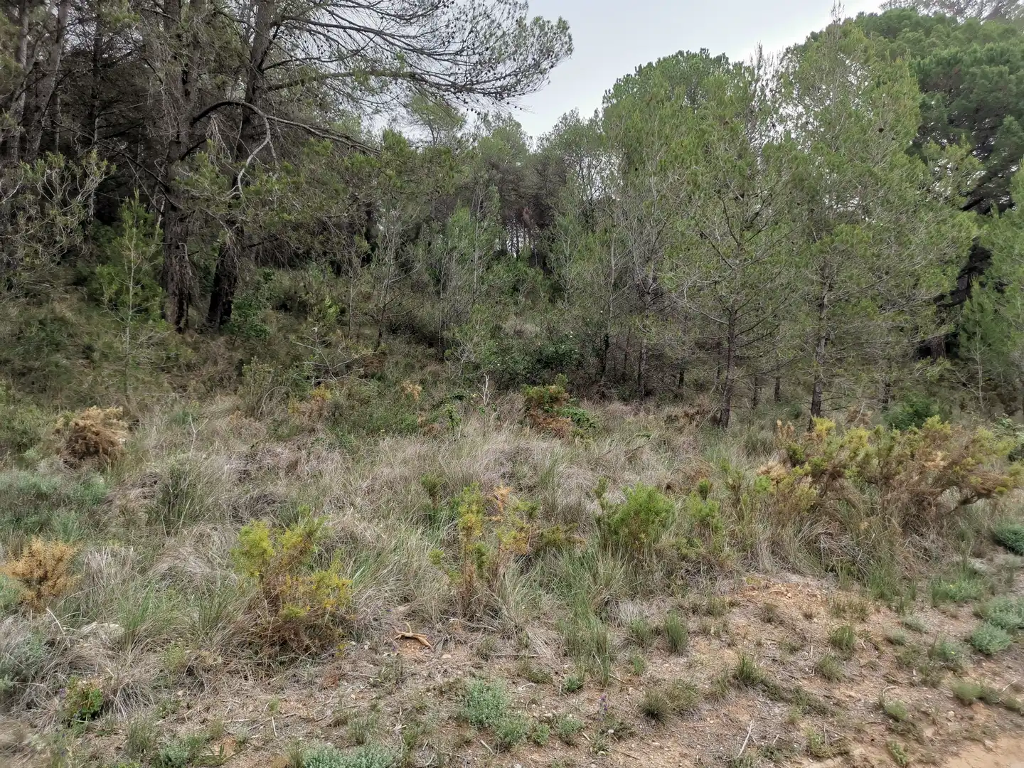 Residencial en venda en El Montmell